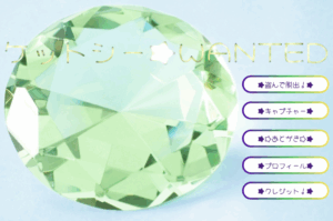 ケットシー★WANTED～盗んで脱出！～